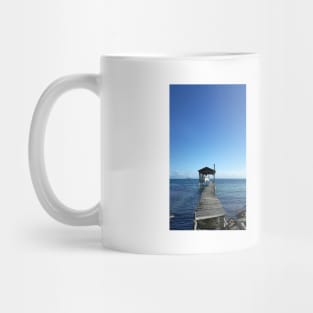 the bay and the house that is the beach in ecopop landscape photography Mug